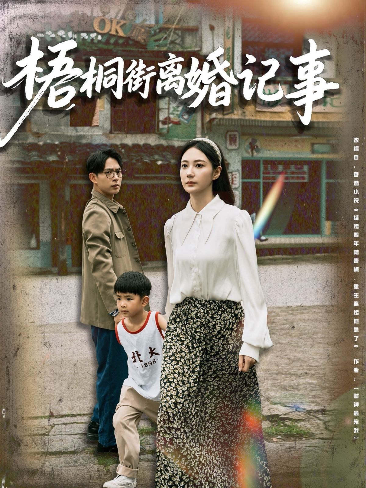 梧桐街离婚记事海报