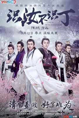 识汝不识丁海报