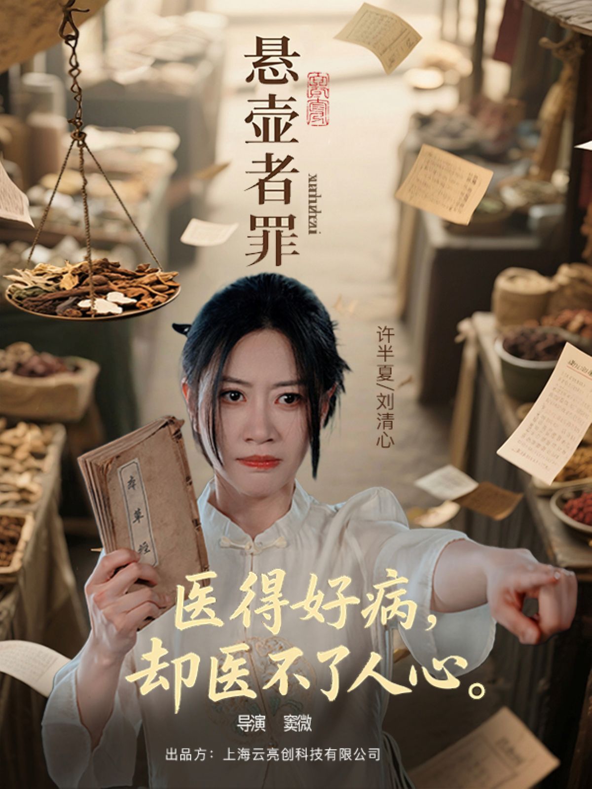 悬壶者罪海报