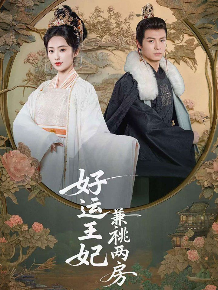 好运王妃兼祧两房海报