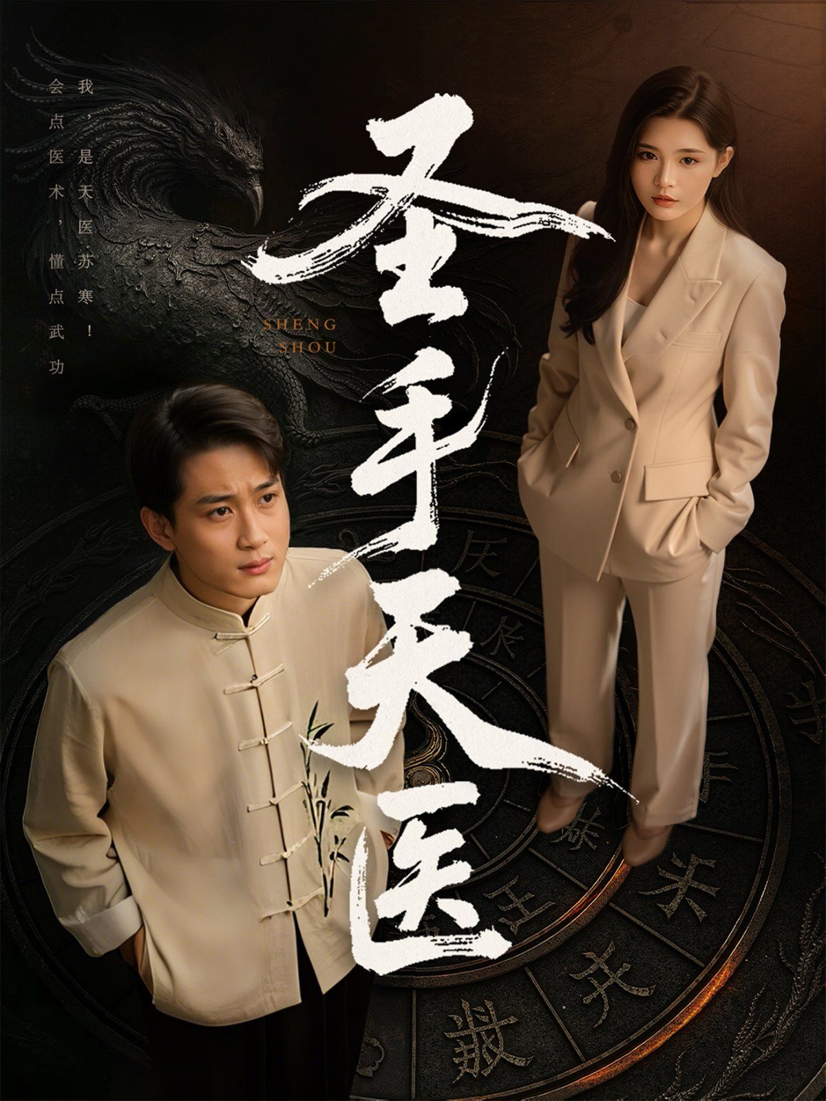 圣手天医海报