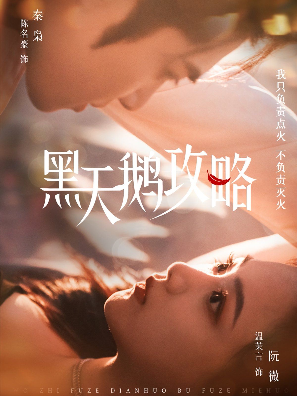 黑天鹅攻略海报