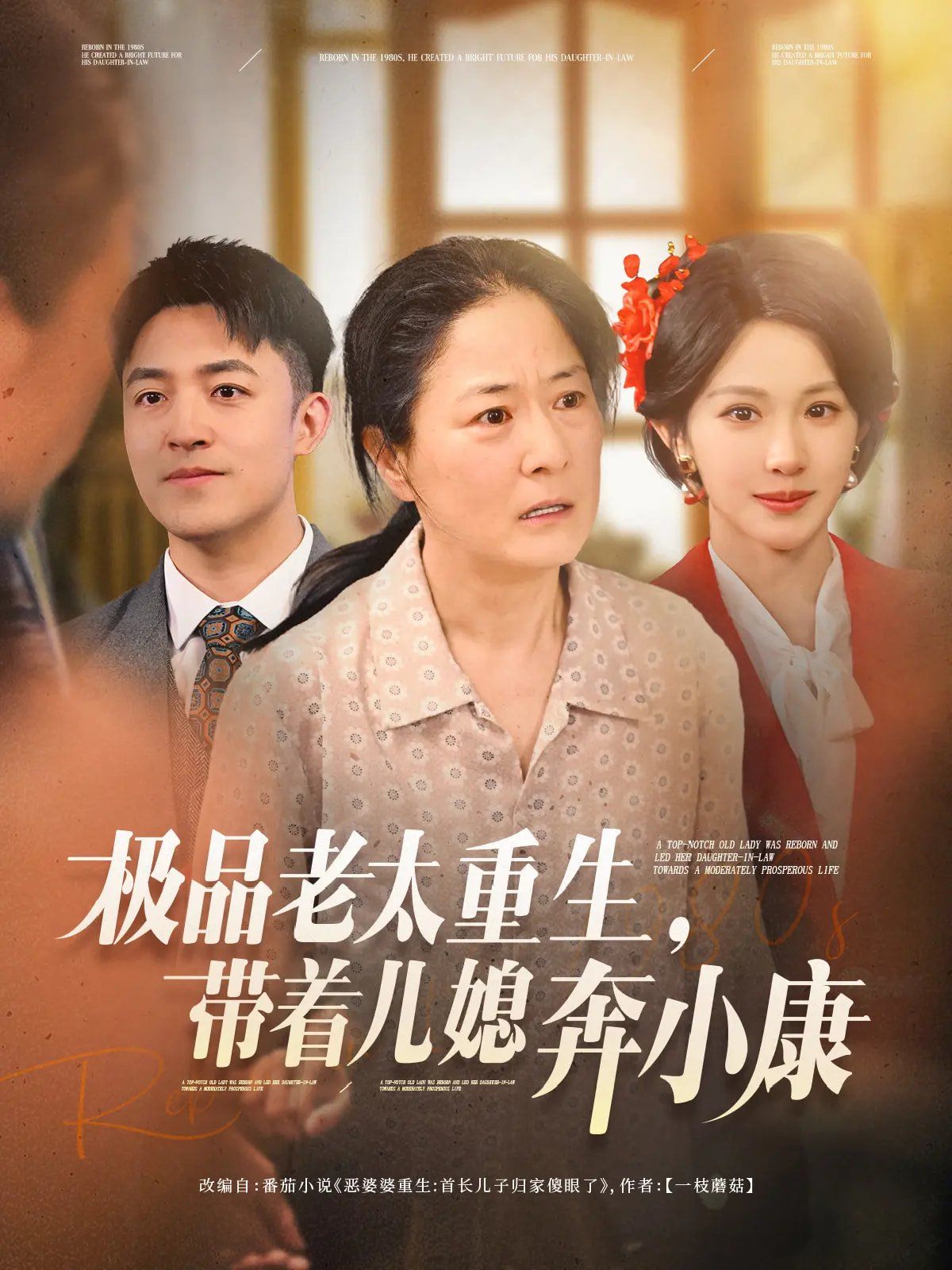 极品老太重生带着儿媳奔小康海报