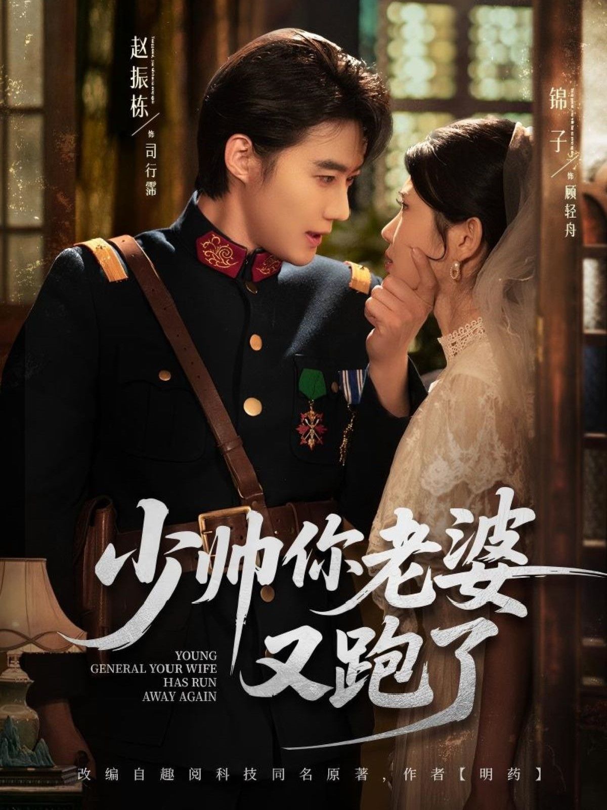 少帅你老婆又跑了海报