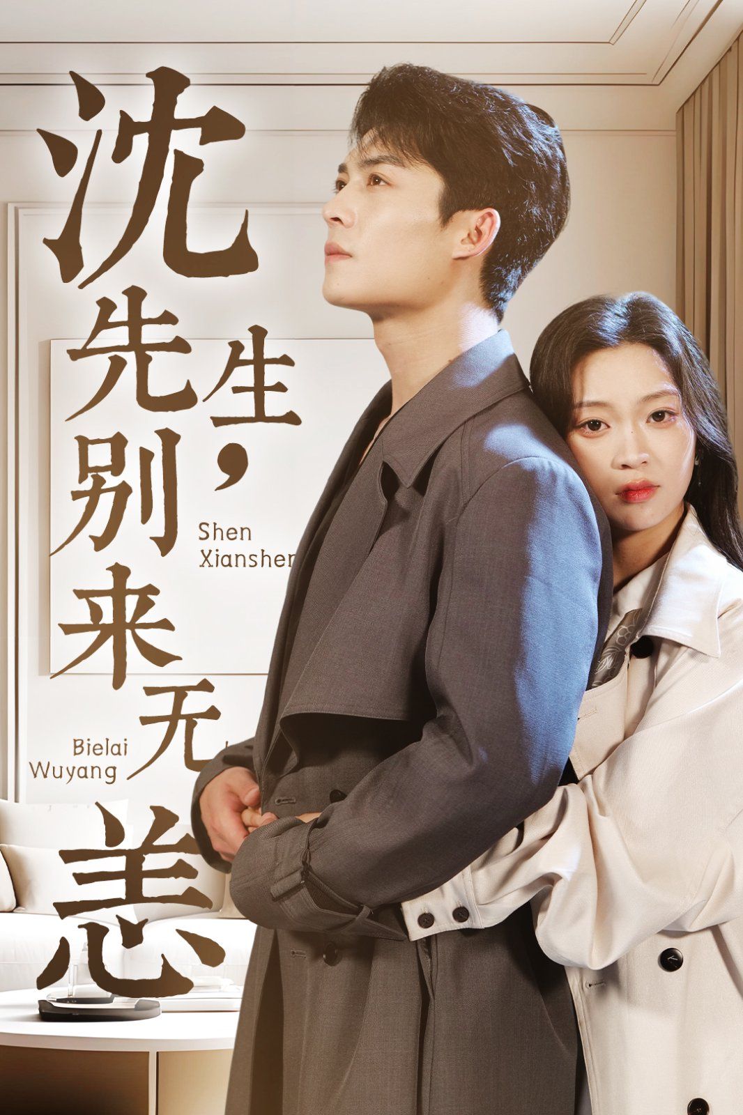 沈先生别来无恙海报