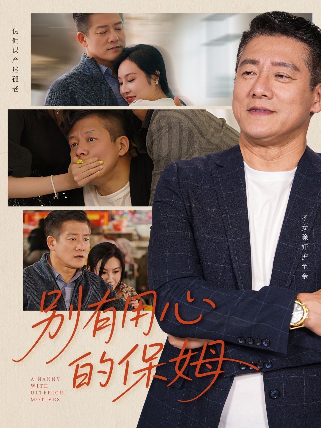 别有用心的保姆海报