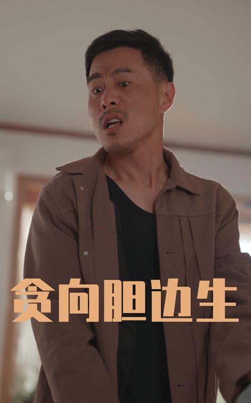 贪向胆边生海报