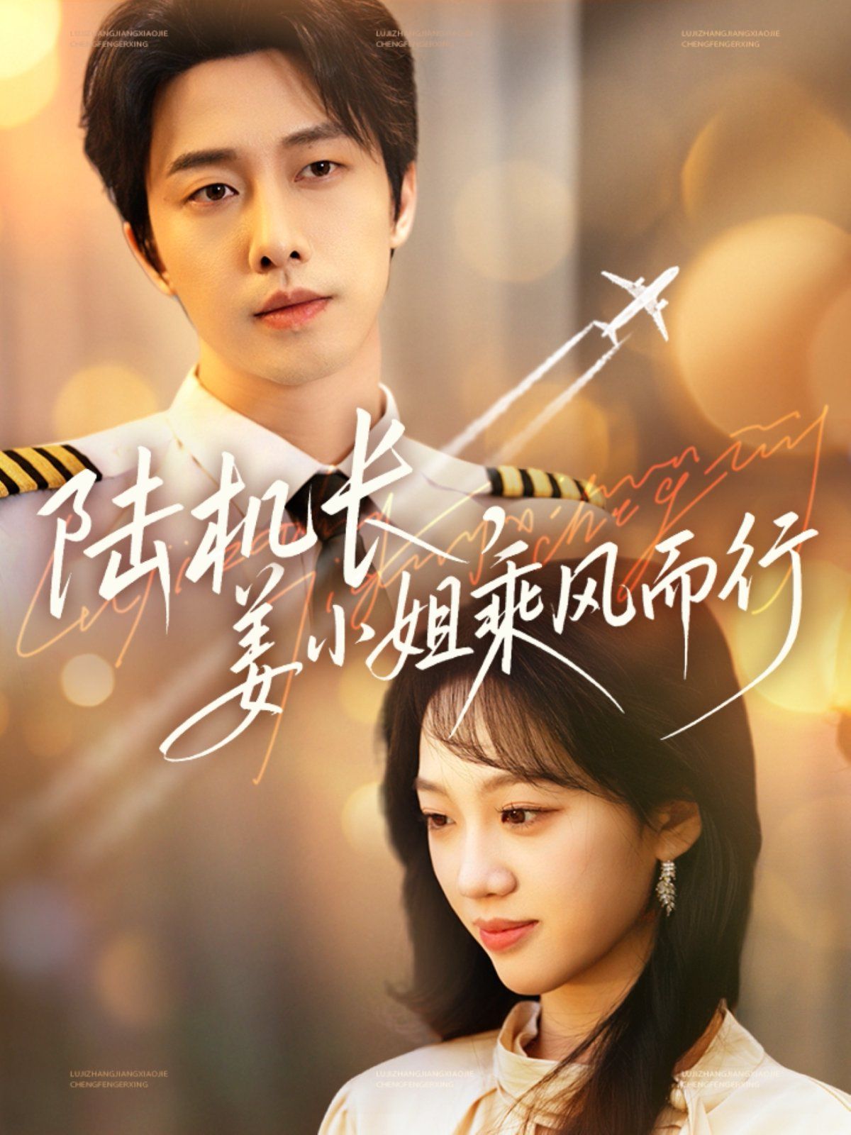 陆机长姜小姐乘风而行海报