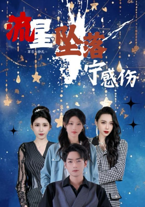 流星坠落宁感伤海报