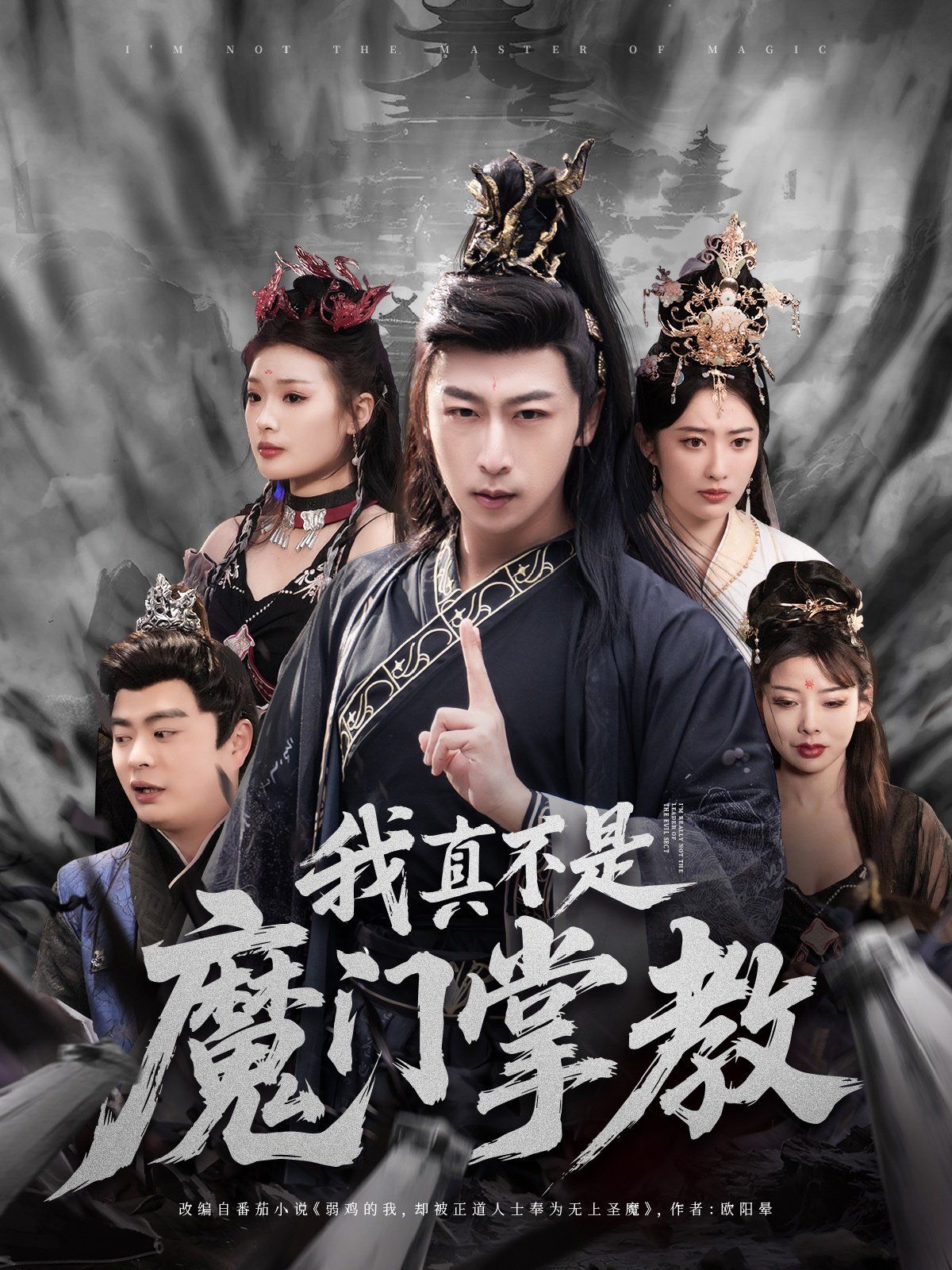 我真不是魔门掌教海报