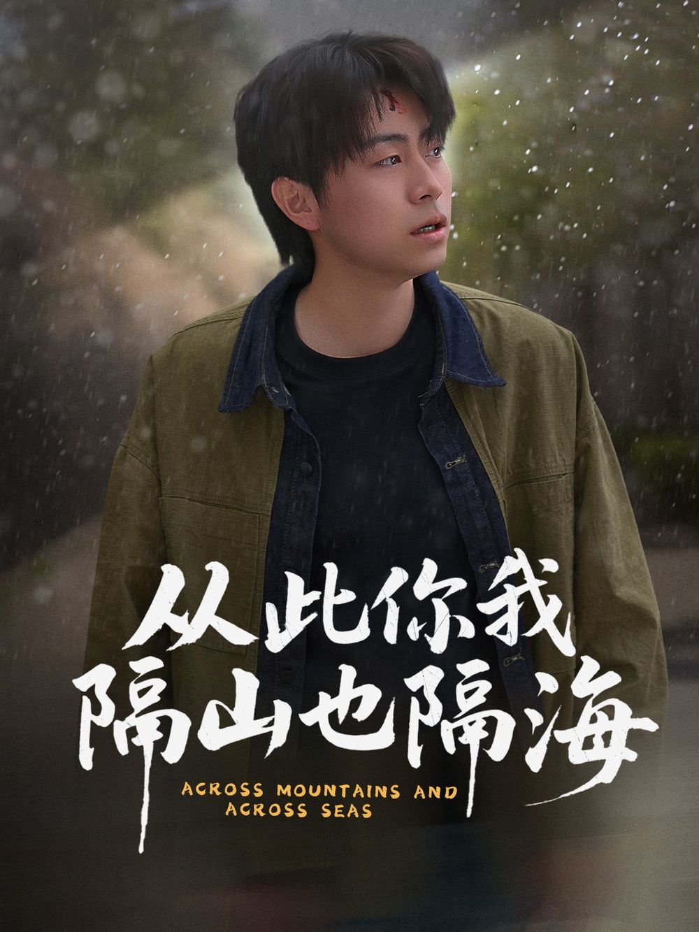从此你我隔山也隔海海报
