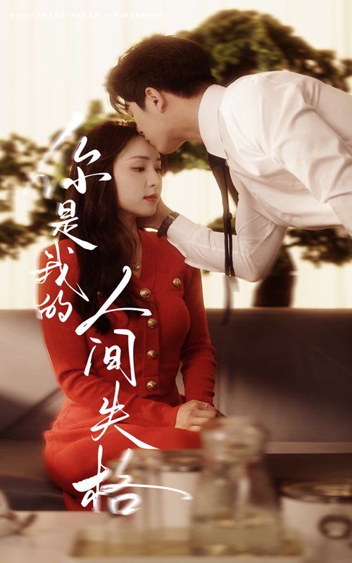 你是我的人间失格海报