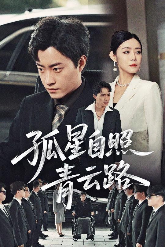 孤星自照青云路海报