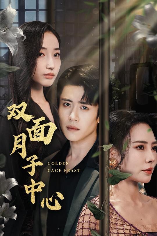 双面月子中心海报