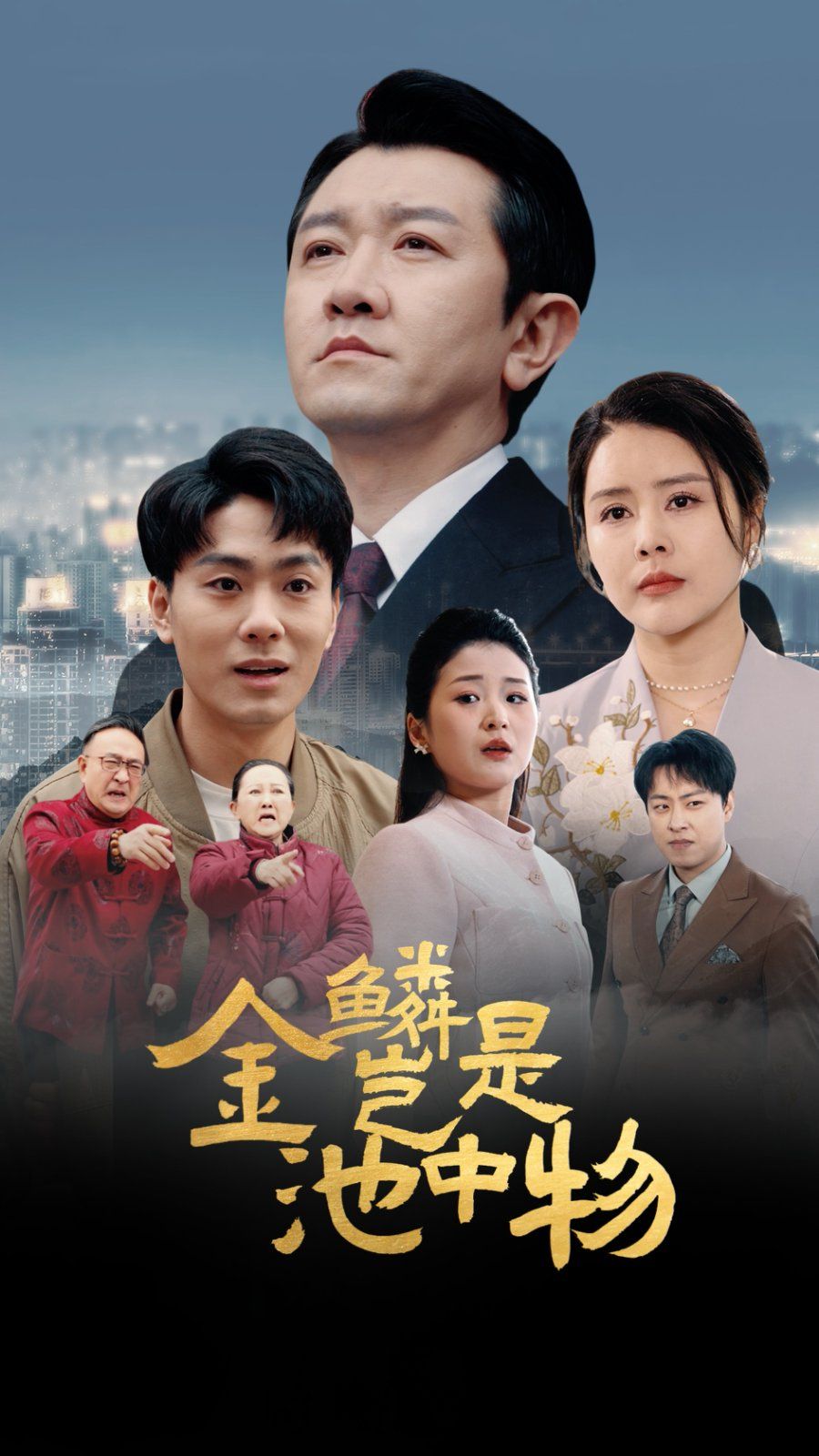 金Lin岂是池中物海报