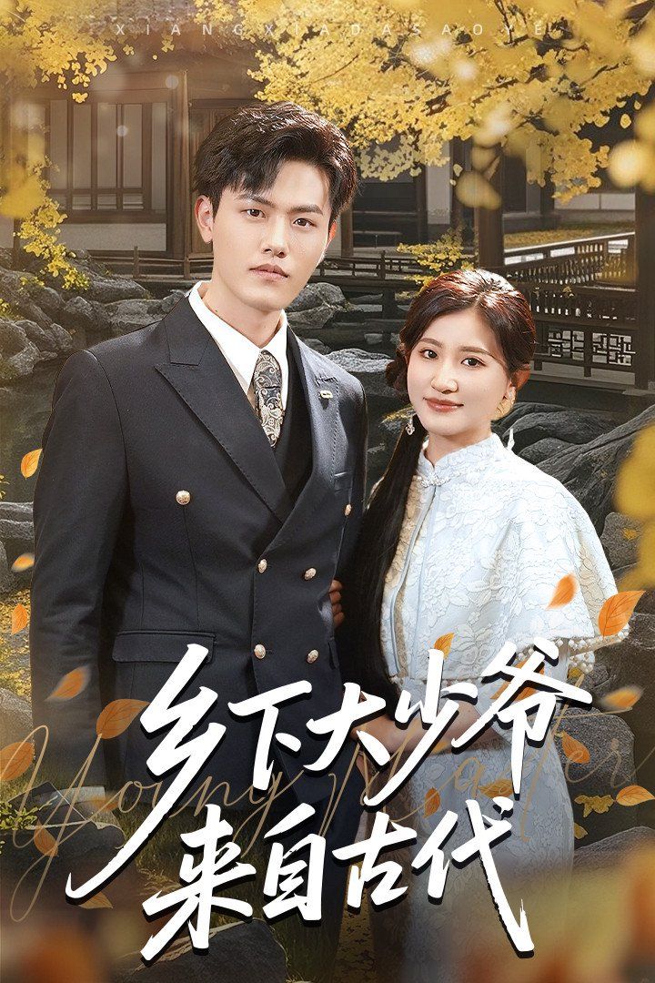 乡下大少爷来自古代海报