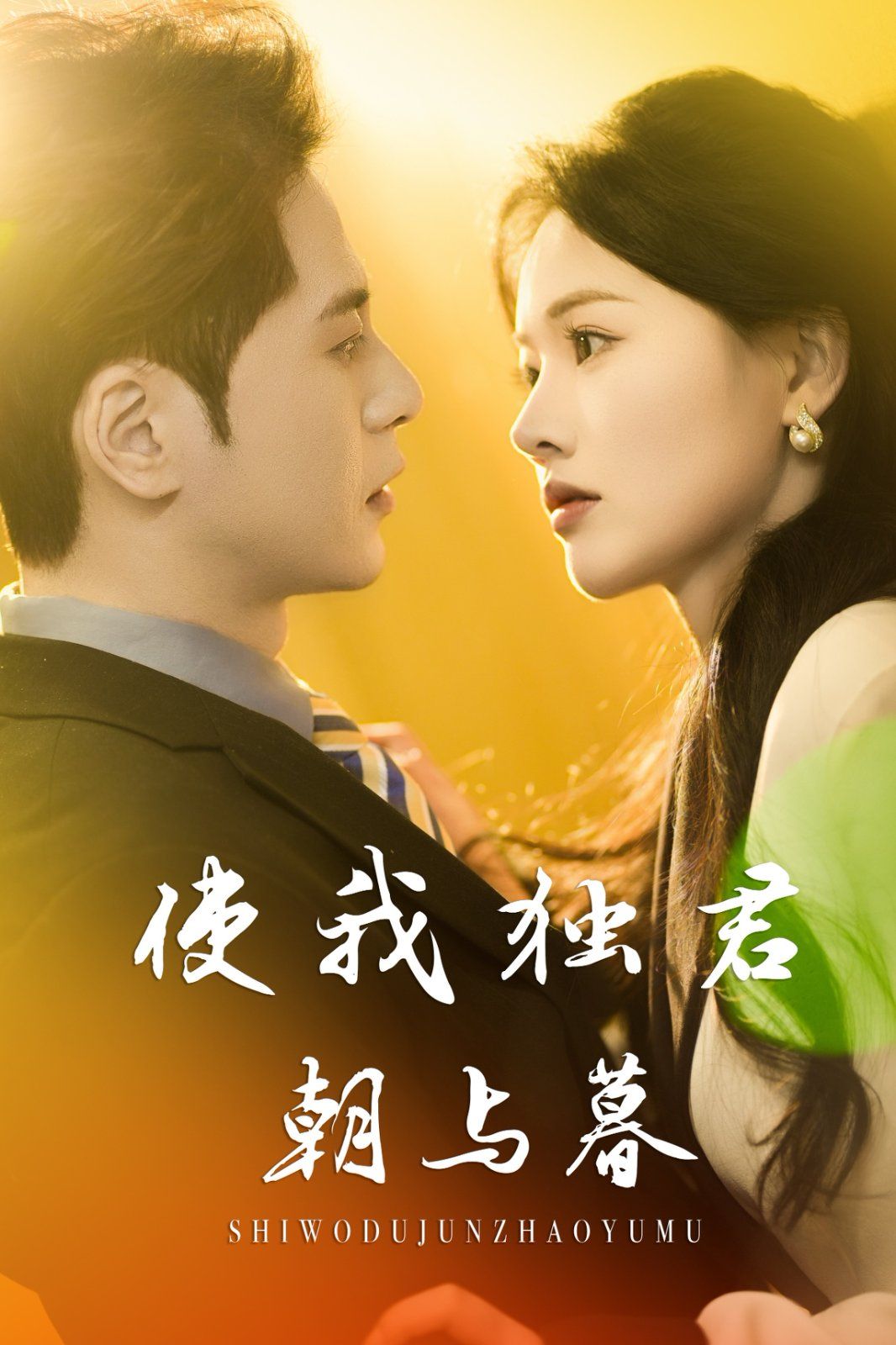 使我独君朝与暮海报