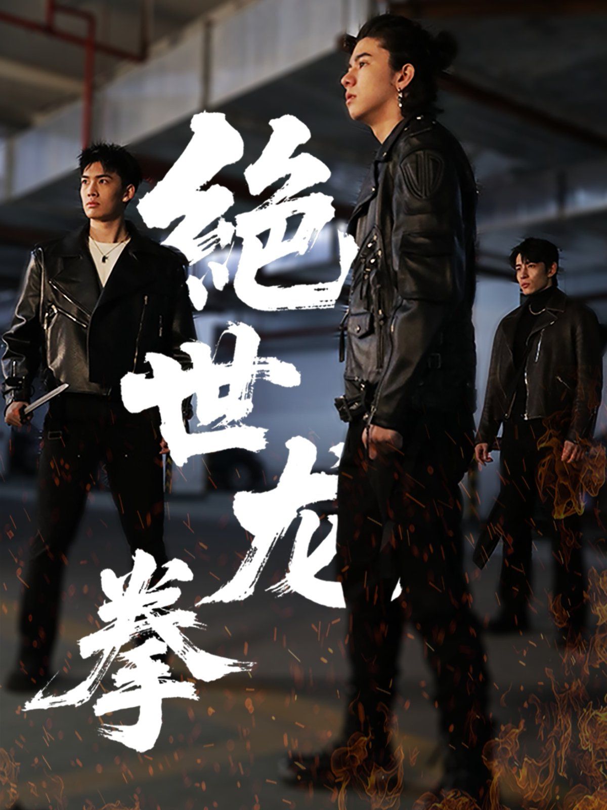 绝世龙拳海报