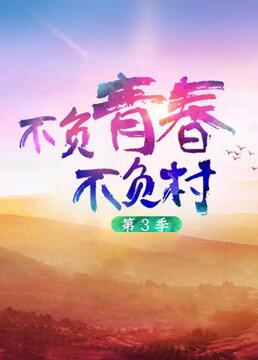 不负青春不负村 第三季海报