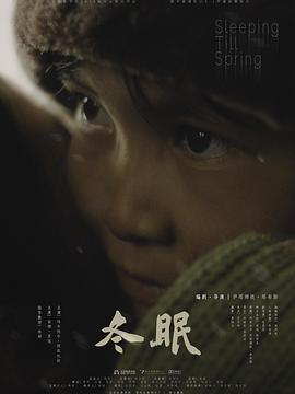 冬眠海报