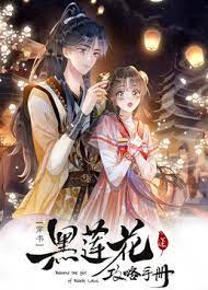 黑莲花攻略手册第二季海报