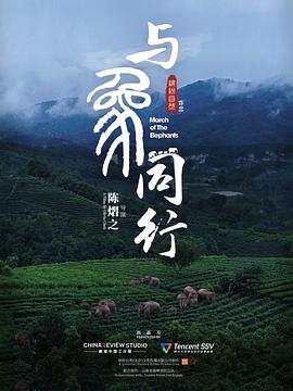 与象同行海报