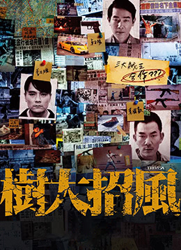 树大招风海报