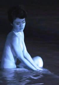 樱桃在林地海报