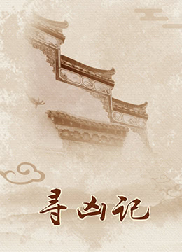 寻凶记海报