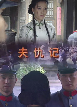 夫仇记海报