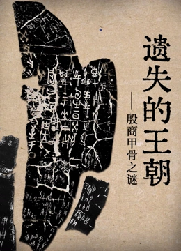 遗失的王朝海报