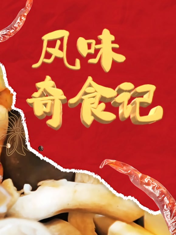 风味奇食记海报