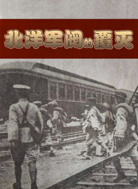 北洋军阀的覆灭海报