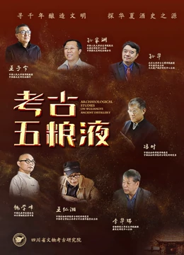 考古五粮液系列专题片海报
