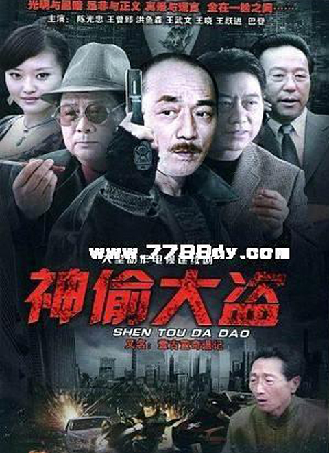 神偷大盗海报