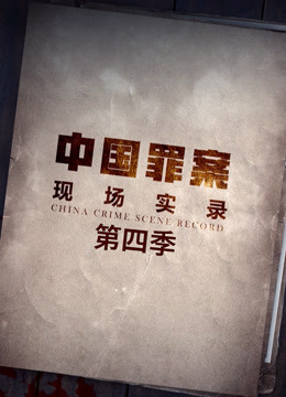 罪案现场实录 第四季海报