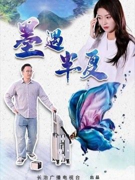 墨遇半夏海报