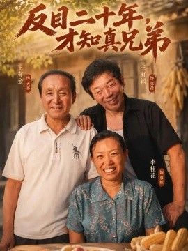反目二十年，才知真兄弟海报